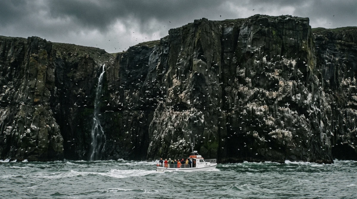 Sea cliffs at Skalanesbjarg rising from the North Atlantic with seabirds circling, the turning point of the Seydisfjordur wildlife cruise