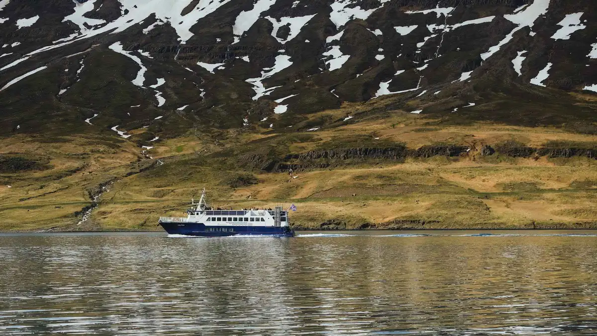 Seydisfjordur Wildlife Cruise to Skalanes: 3 Hours, $102